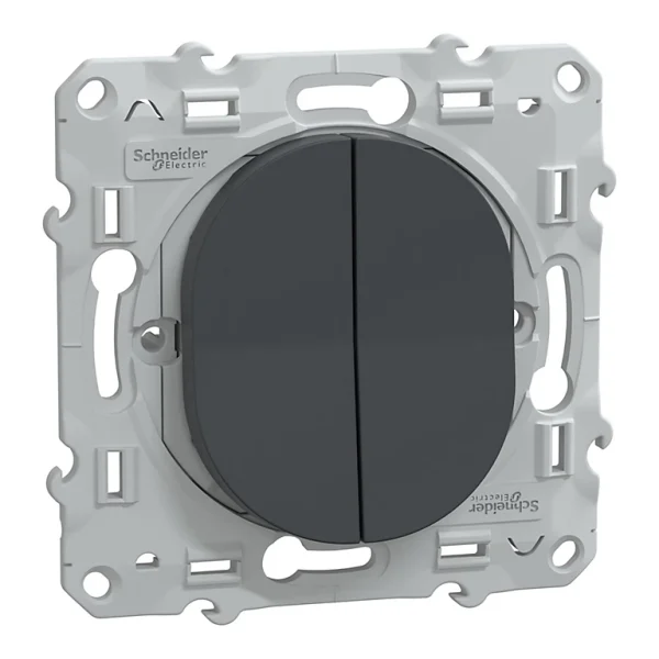 online boutique Castorama Double Interrupteur Schneider Electric Ovalis Anthracite 1