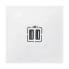 Castorama Double Prise USB Legrand Neptune magasin pas cher 7
