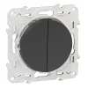 en ligne officielle Castorama Double Va Et Vient Schneider Electric Odace Anthracite 7