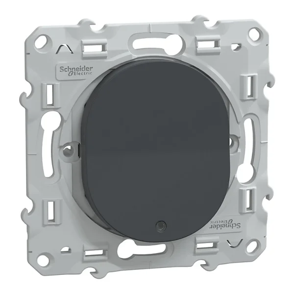 Castorama Interrupteur Lumineux Schneider Electric Ovalis Anthracite achat 1
