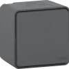 Castorama Interrupteur Mureva Styl Schneider Electric Nouveau 7
