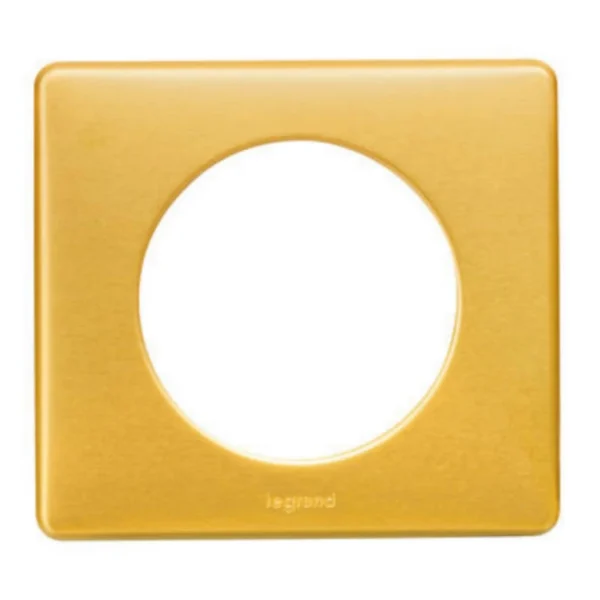 Nouveau Castorama Plaque De Finition Legrand Céliane Laiton 1 Poste 1