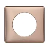 Castorama Plaque De Finition Simple Legrand Céliane Métal Copper en ligne 7