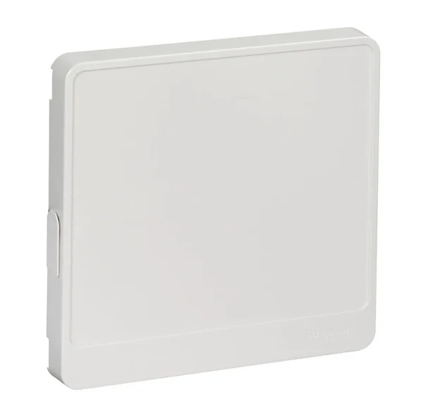 Castorama Porte Blanche Pour Coffret 1 Rangée Schneider Electric pas cher en vente 1