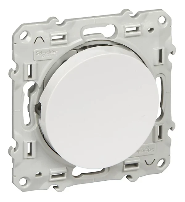 Castorama Poussoir Schneider Electric Odace Blanc en ligne 1