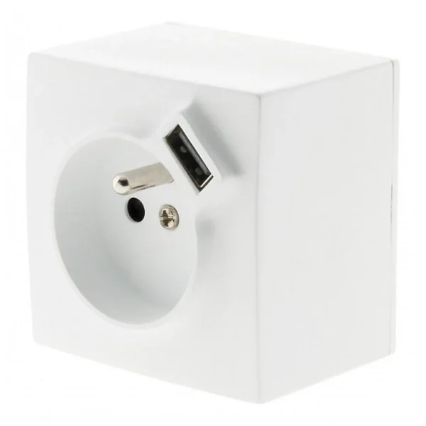 Castorama Prise En Saillie 2P+T Avec Chargeur USB Blanc Distributeur Officiel 1