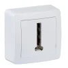 Castorama Prise Telephone Schneider Electric Alrea livraison la plus rapide 5