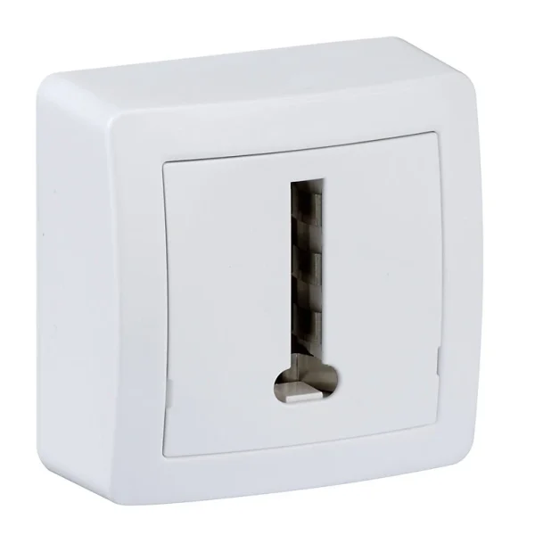 Castorama Prise Telephone Schneider Electric Alrea livraison la plus rapide 1