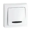 Castorama Va-et-vient Lumineux ASL Legrand Blanc magasin france 5