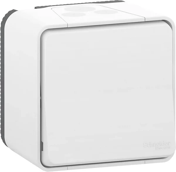 des prix incroyables Castorama Va Et Vient Saillie Mureva Styl SCHNEIDER ELECTRIC 1